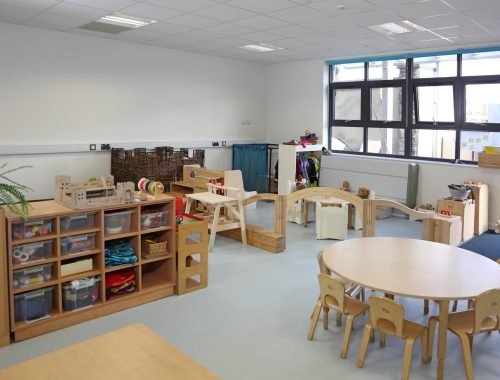 Government-funded placements Government-funded placements